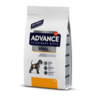 Affinity Advance Veterinary Diets Renal pienso para perros, , large image number null
