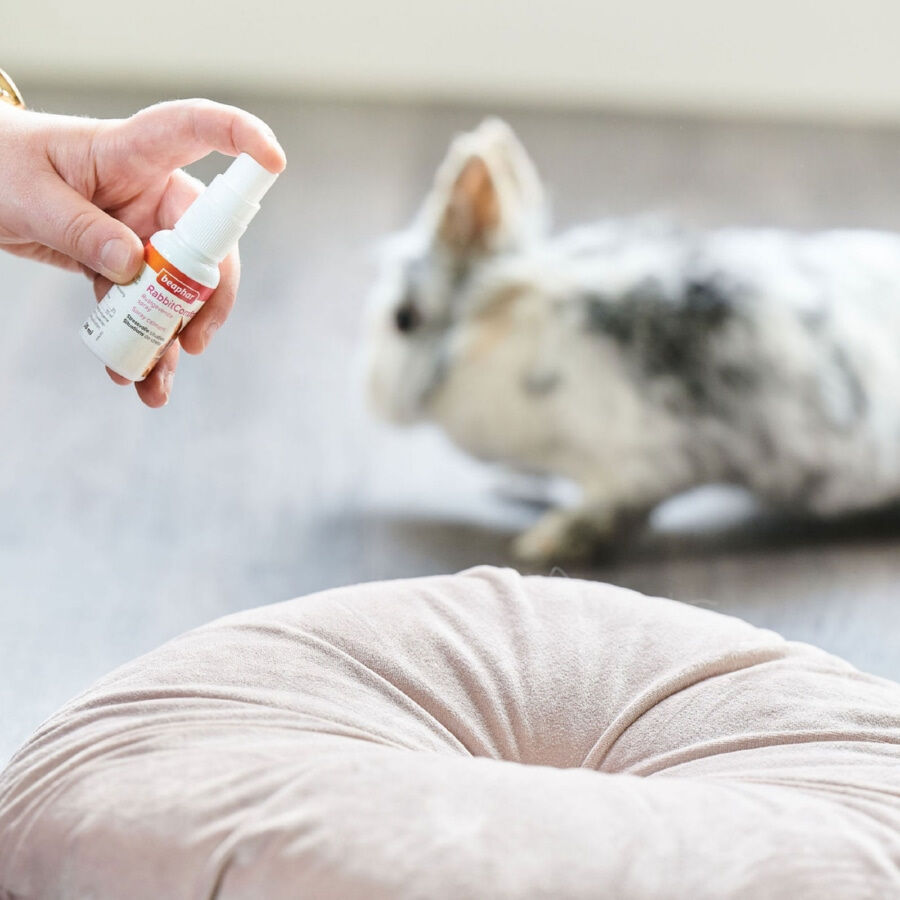 Beaphar RabbitComfort Spray Tranquilizante para conejos thumbnail