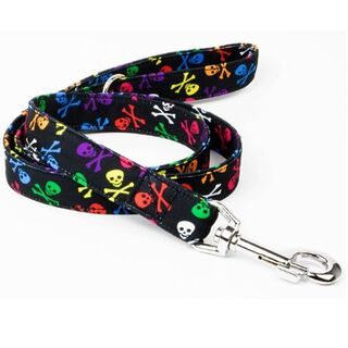 Galguita amelie calaveras correa multicolor para perros