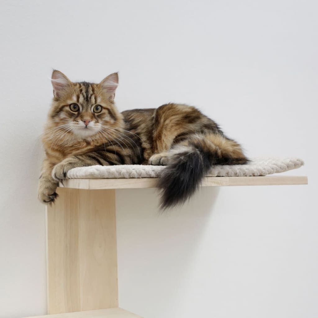 Rascador Para Gatos, , large Imagen numero 2