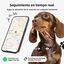 Pawview Localizador Inteligente para Mascotas, Rastreador Perros y Gatos Compatible con Apple Find My y Android Find Hub, Funda de Silicona Antidesgarros con C&oacute;digo QR, Sin Suscripci&oacute;n. Rosa, , large indicador imagen numero 2