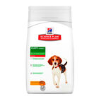 Hill's Puppy Medium Science Plan Pollo pienso , , large image number null