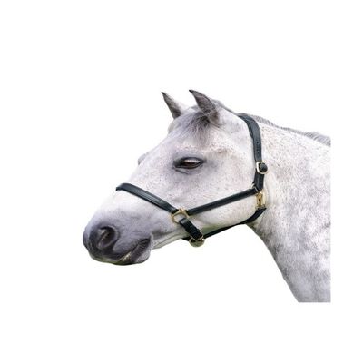 Blenheim Ragley Cabezada de Cuero para caballos