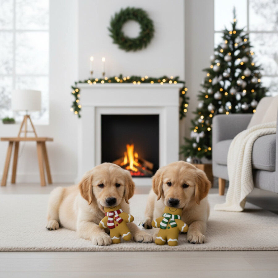 Wonder Christmas Super Gingerman Mordedor Navide&ntilde;o para perros, , large Imagen numero 3