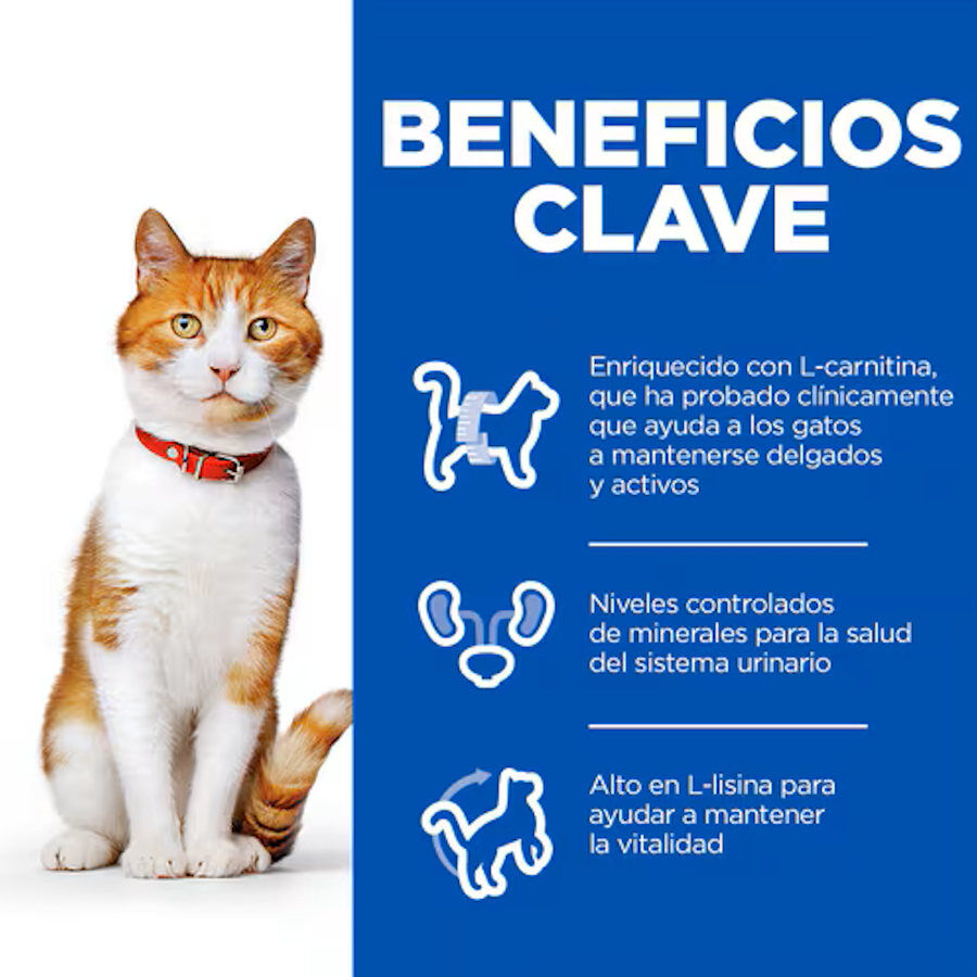 Hill&#039;s Science Plan Sterilised Adult Salmón pienso para gatos thumbnail