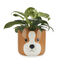 Balvi Maceta Woof Color Marr&oacute;n Original maceta con dise&ntilde;o perruno Cer&aacute;mica 13,5x13,5x13,5 cm, , large indicador imagen numero 1