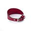 Collar de cuero vegano Pamppy especial galgos color Rojo, , large indicador imagen numero 1