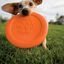 Plato volador para perros color Naranja, , large indicador imagen numero 2