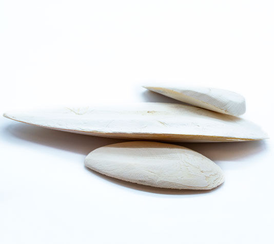 Hueso de Sepia para P&aacute;jaros y Tortugas | PicoSepia 200 gr | Jibia para Periquitos, Canarios y Otros Animales | Aporta Calcio, , large Imagen numero 4