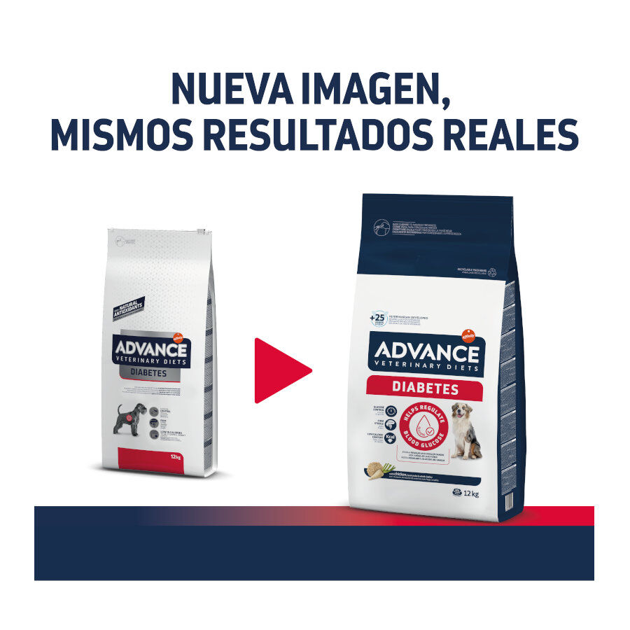 Advance Veterinary Diets Diabetes pienso para perros thumbnail