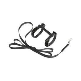 Flamingo Arn&eacute;s con Correa Negro para gatitos