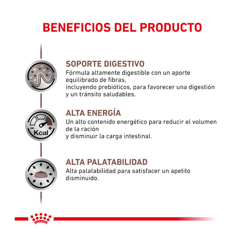 Royal Canin Veterinary Gastrointestinal pienso para gatos thumbnail
