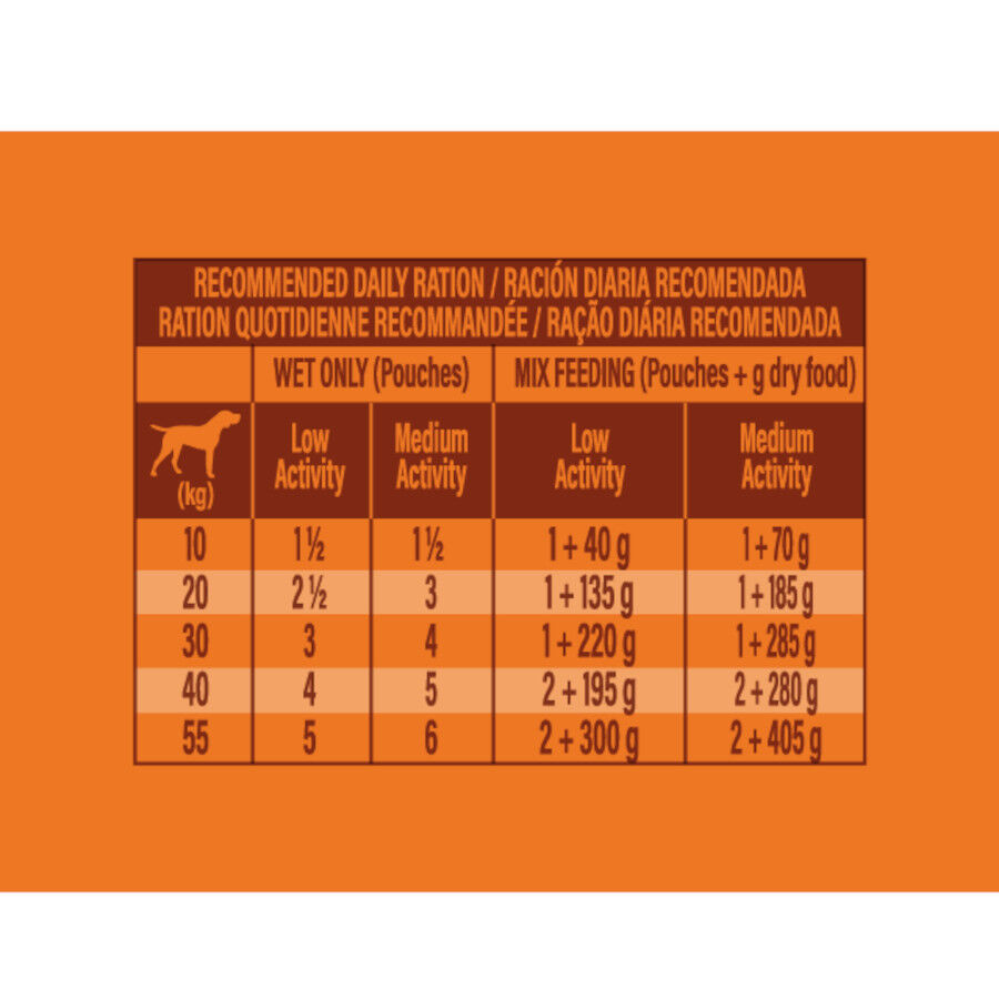 300 g Nature's Variety Medium/Maxi Adult buey sobre para perros, , large Imagen numero 4