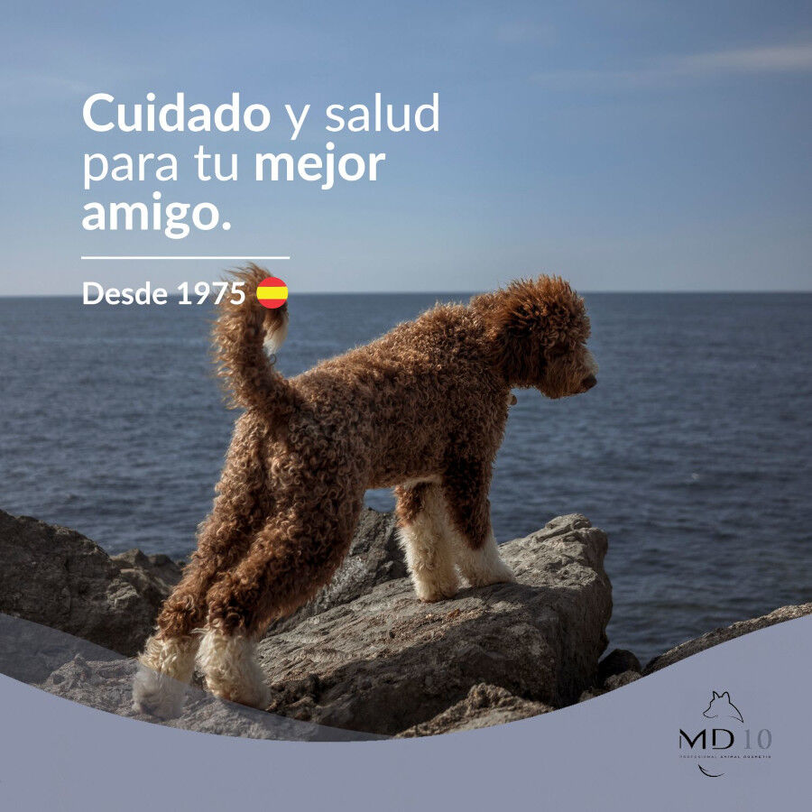 MD-10 Champú Hidratante vegano para perro de Agua Español Marrón thumbnail