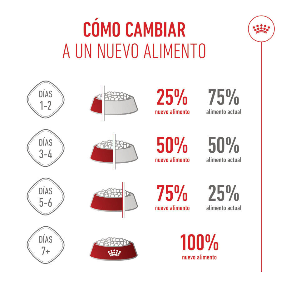 Royal Canin Kitten Sterilised pienso para gatos thumbnail