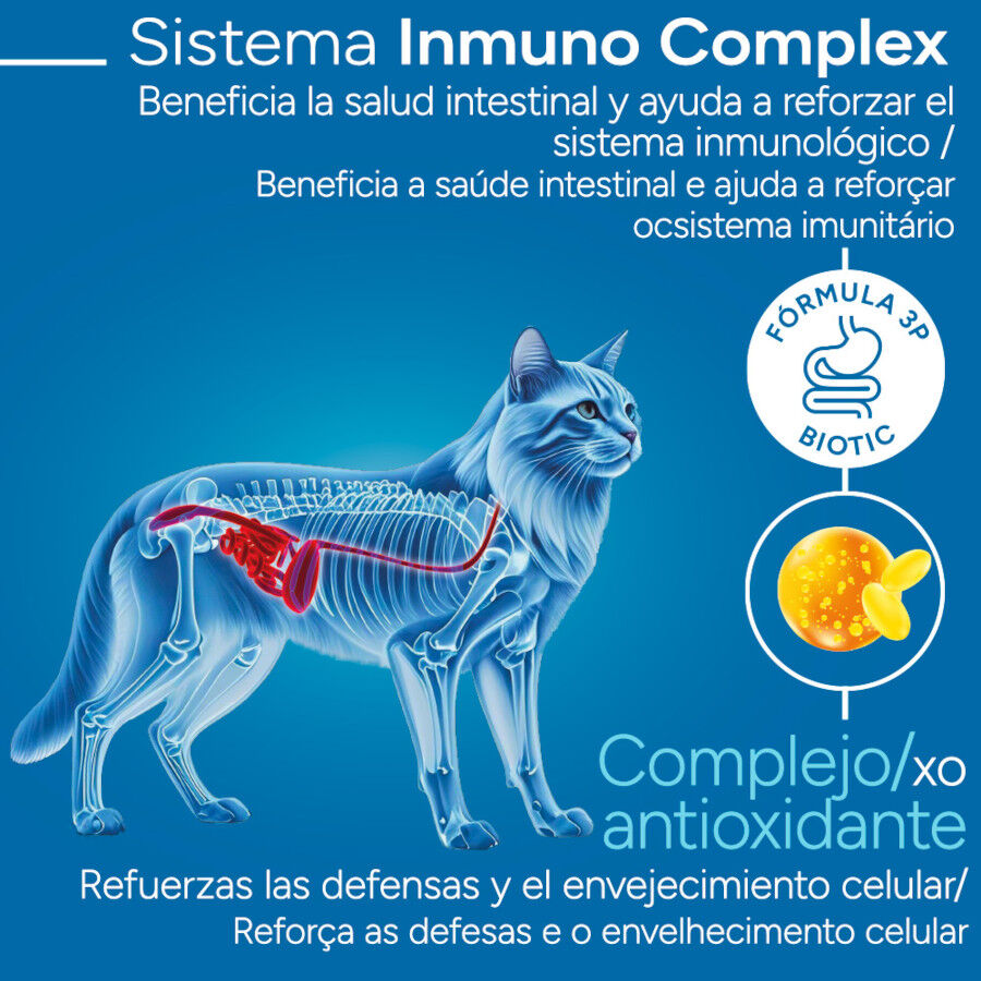 Criadores Cient&iacute;fico Senior +12 Pescado pienso para gatos, , large Imagen numero 3