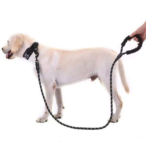 Correa MyPetCare para perro color Negro, , large Imagen numero 3