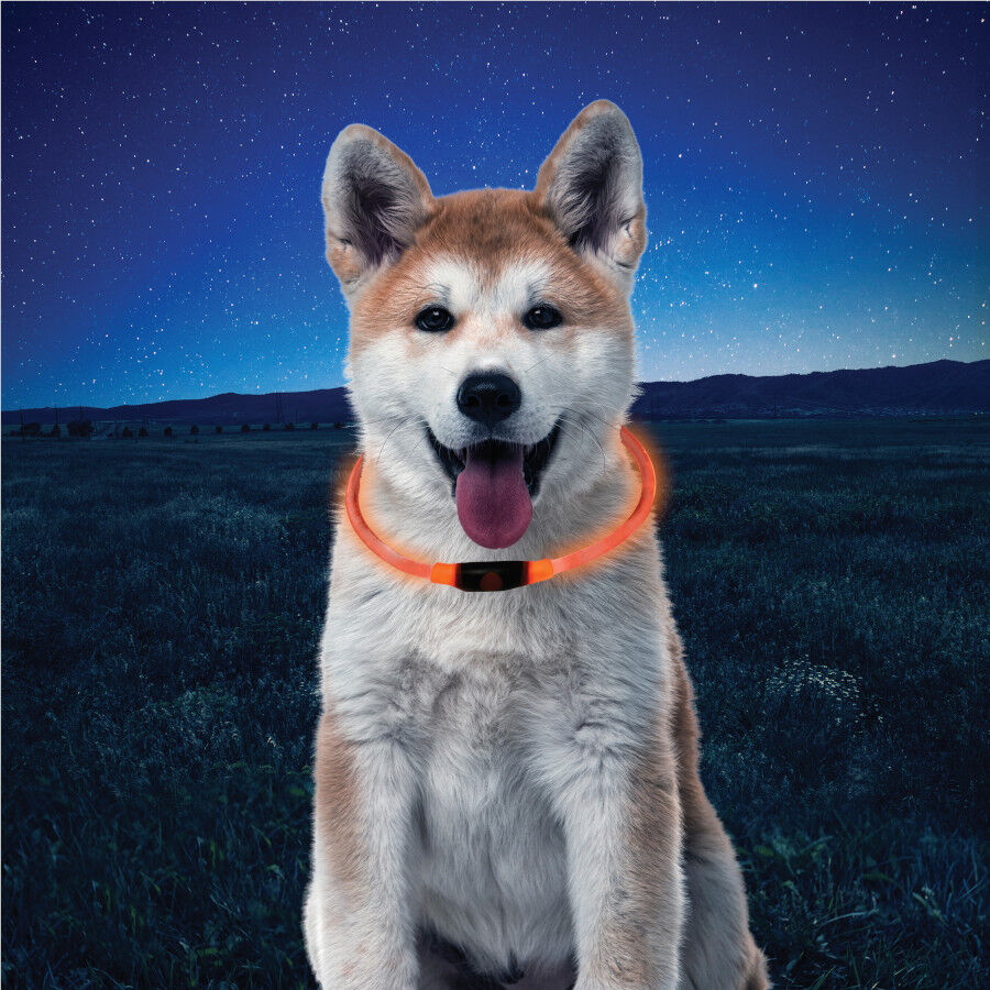 Nite Ize NiteHowl Collar de Seguridad Led Naranja para perros, , large Imagen numero 2