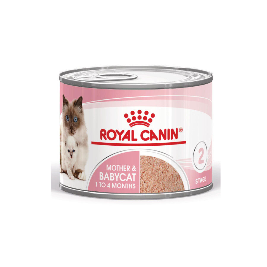 Royal Canin Mother &amp; Baby mousse latas para gatos thumbnail
