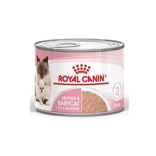 Royal Canin Mother & Baby mousse latas para gatos