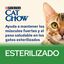 85 g Cat Chow Sterilised pollo sobre para gatos, , large indicador imagen numero 2