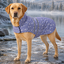 Gotoo Impermeable Estampado Huellas para perros, , large indicador imagen numero 1