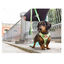 Dukier Avocado Arnés Reversible Estampado Aguacate para perros, , large indicador imagen numero 4