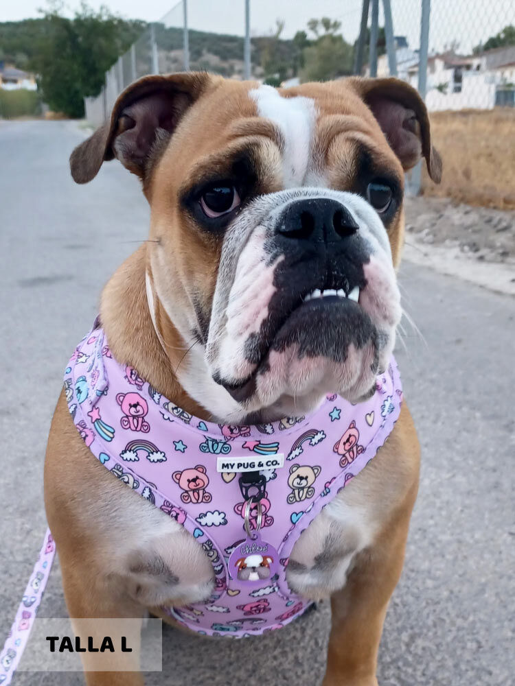 Arn&eacute;s Ajustable Teddy Bears, , large Imagen numero 2