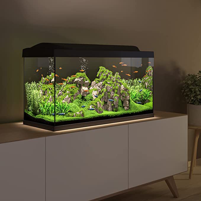 Kit Tetra Starter Line LED Diurna/Nocturna Acuario 105L, , large Imagen numero 2