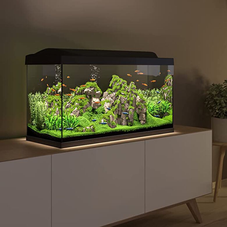 Tetra Kit acuario Starter Line LED Diurna Nocturna thumbnail