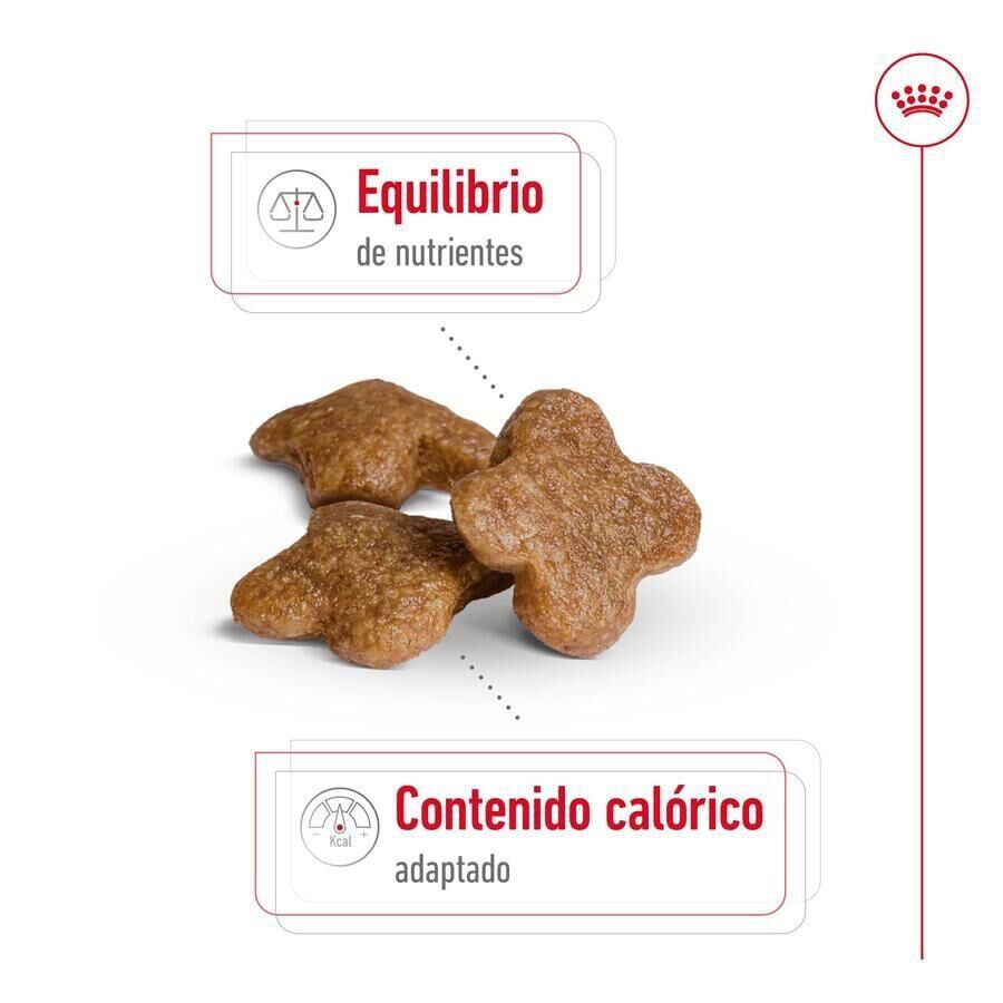 Royal Canin Mini 8+ Adult pienso para perros thumbnail