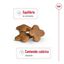 2 x 8 kg Royal Canin Mini 8+ Adult pienso para perros ¡Pack ahorro!, , large indicador imagen numero 6