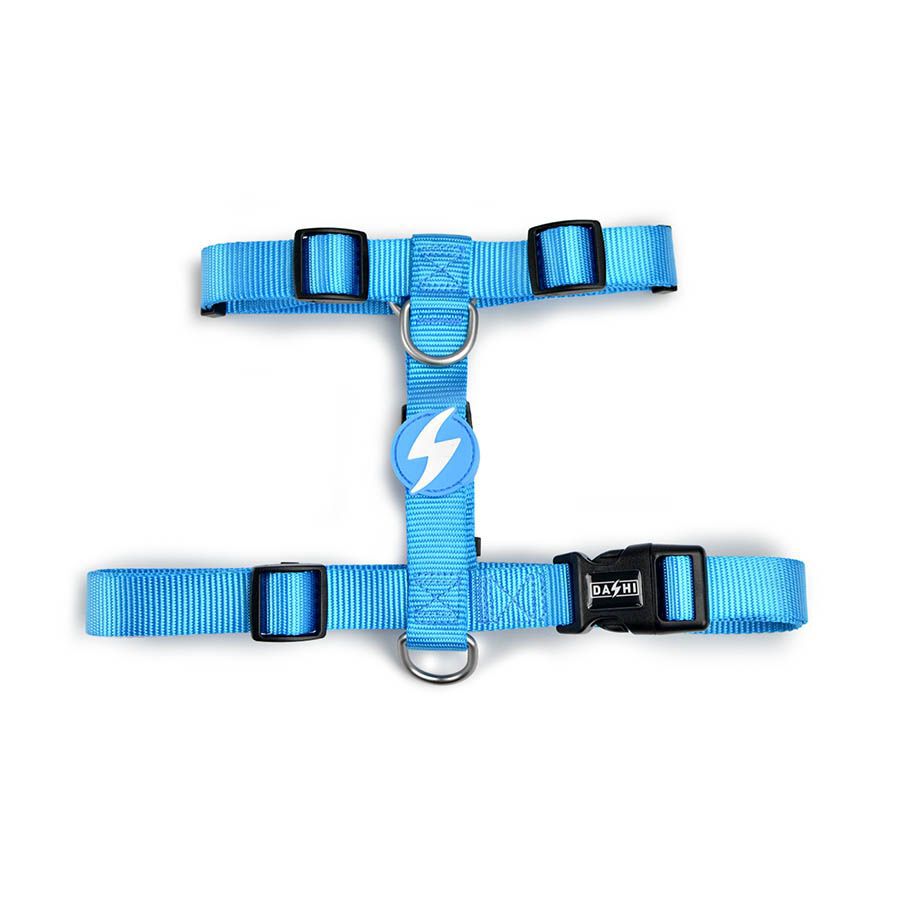 Arn&eacute;s de nylon para perros color Azul Claro, , large Imagen numero 1