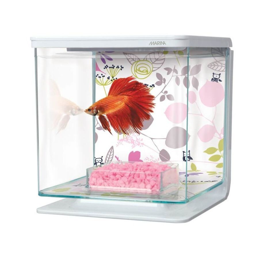 MARINA Bettera Kit Marina Betta, , large Imagen numero 2