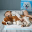 Nobleza - 30 x Empapadores perros Alfombrilla higiénica de entrenamiento para perros. Ultraabsorbente 60cm*60cm., , large indicador imagen numero 10