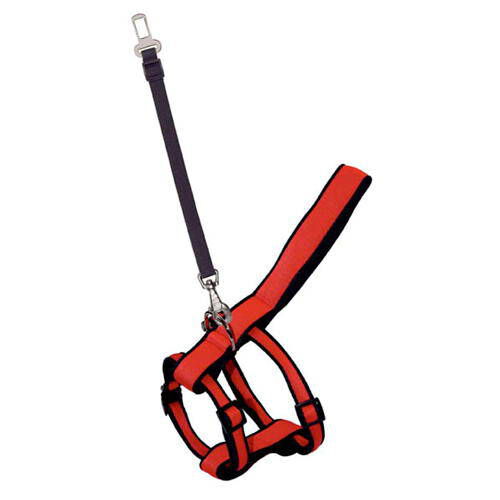 Arppe arn&eacute;s y cintur&oacute;n de seguridad para coche Imagen numero 1