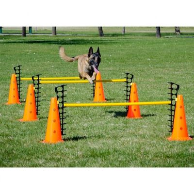 Juego de entrenamiento con obstáculos para perros color Multicolor