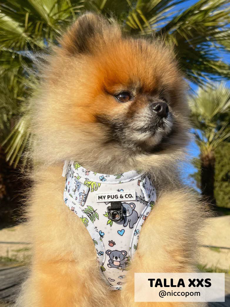 Arn&eacute;s Ajustable Lazy Koala, , large Imagen numero 4