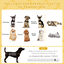 PawHut Cama para Perros Beige, , large indicador imagen numero 4