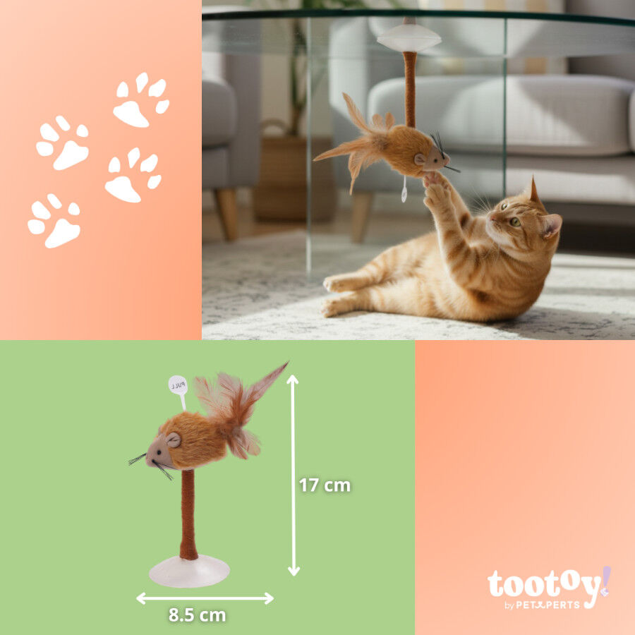 Tootoy! Juguete Interactivo Rat&oacute;n con Ventosa para gatos, , large Imagen numero 4