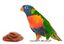 Lorifeed alimento néctar completo loris, , large indicador imagen numero 5