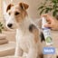 Bloob Colonia Refrescante Mel&oacute;n para perros, , large indicador imagen numero 2