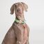 Collar NEON PARTY TROPICAL, , large indicador imagen numero 2