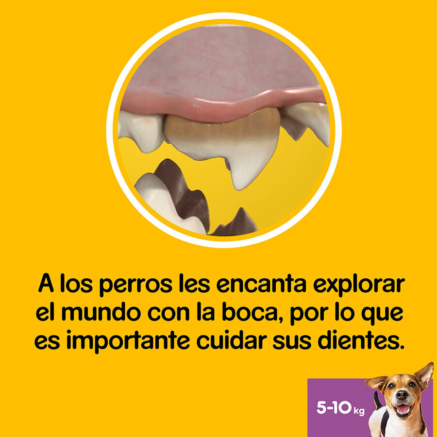 Pedigree Dentastix Snacks Dentales para perros pequeños thumbnail
