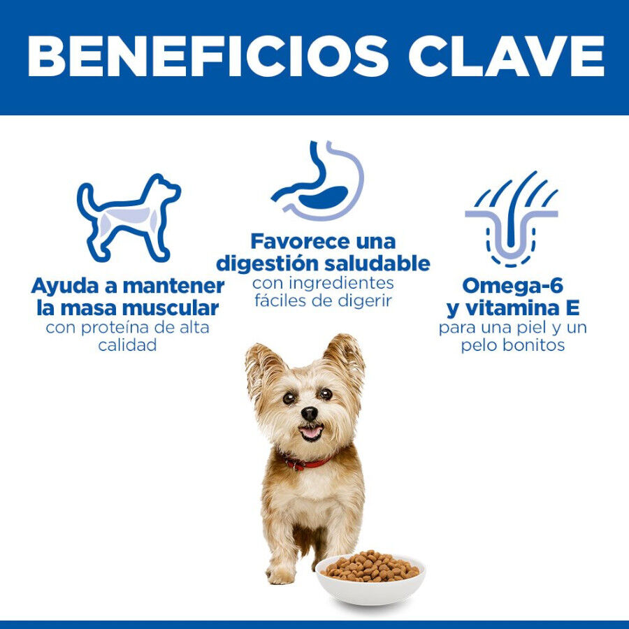 10 kg Hill's Science Plan Adult Small y Mini Pollo pienso para perros, , large Imagen numero 5