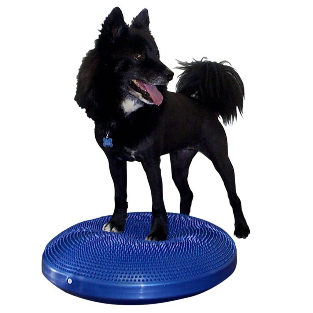 FitPAWS Disco de equilibrio para mascotas azul 36 cm, , large Imagen numero 6