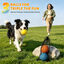 Nobleza Pelota para Perros de Caucho Natural (Pack de 3 con Bolsa de Malla) - Pelotas Resistentes de 6.3 cm para Morder, Tirar y Lanzar, Juguete Interactivo para Perros Peque&ntilde;os, Medianos y Grandes, Incluye Red de Transporte, , large indicador imagen numero 2