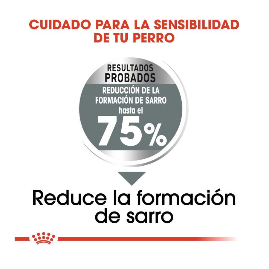 Royal Canin Dental Care Maxi pienso para perros thumbnail