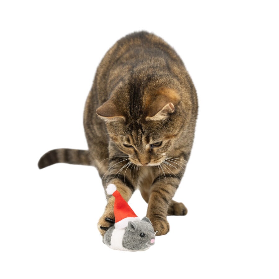 Wonder Christmas Ratón Santa juguete para gatos