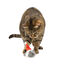 Wonder Christmas Ratón Santa juguete para gatos, , large indicador imagen numero 1